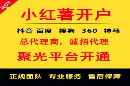 行业领先SEM托管代运营案例
